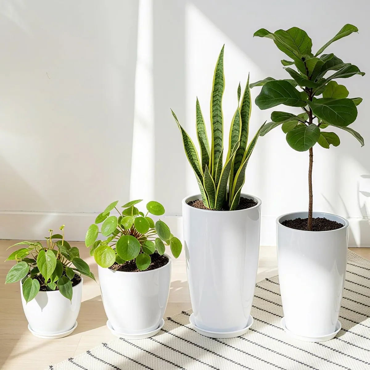 Plant Pots 25/30/35.5/30cm Diameter 26/30/53/61 - Image 2