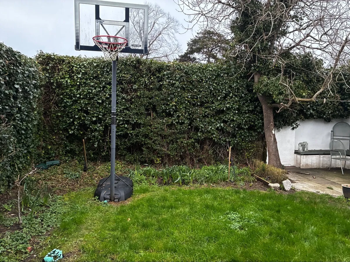 Basketball hoop and stand free to take away