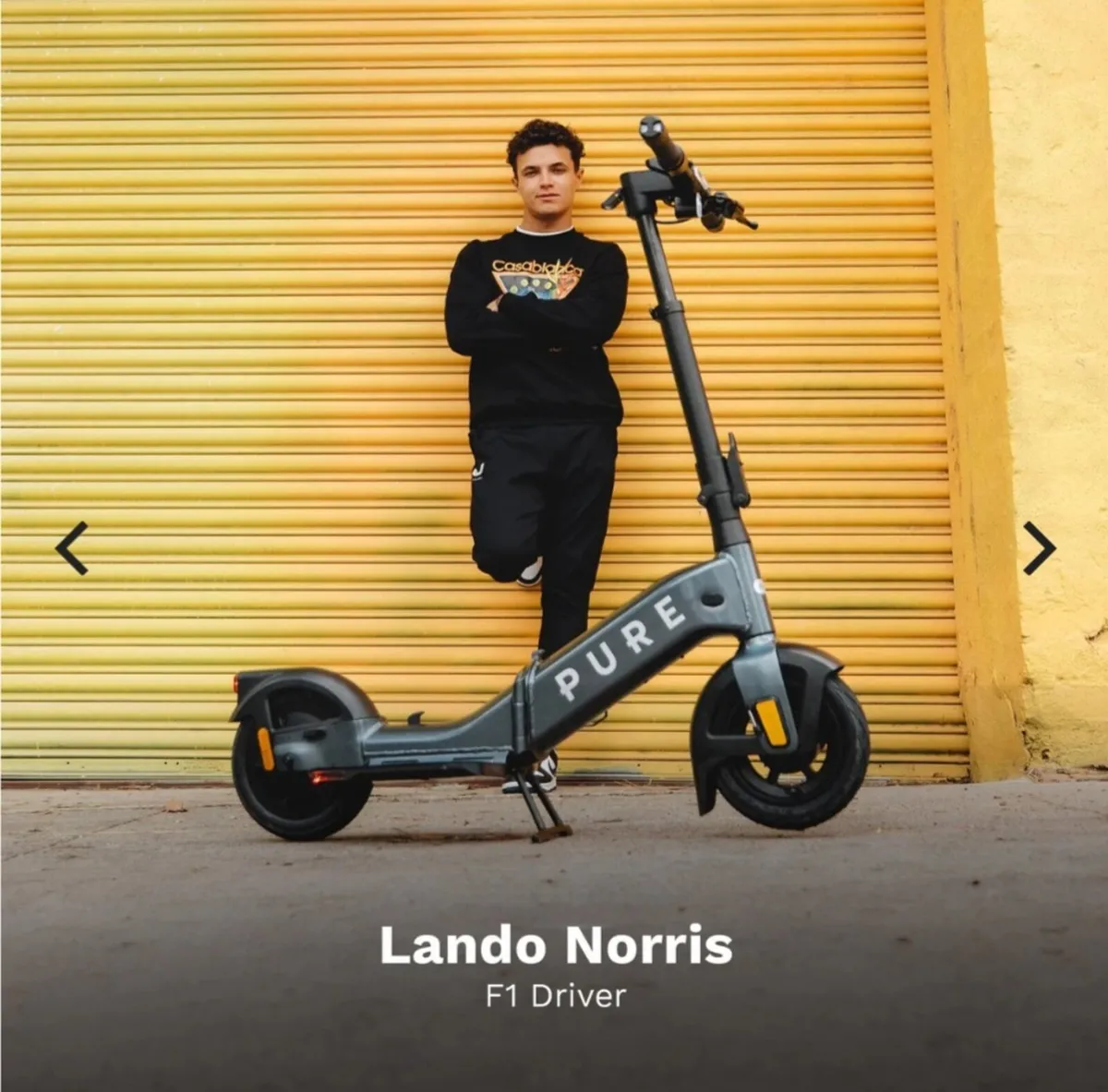 Pure Flex Electric Scooter - Image 1