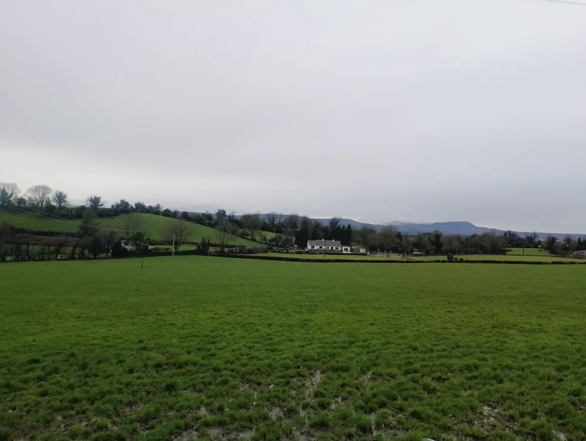 Farm worker available