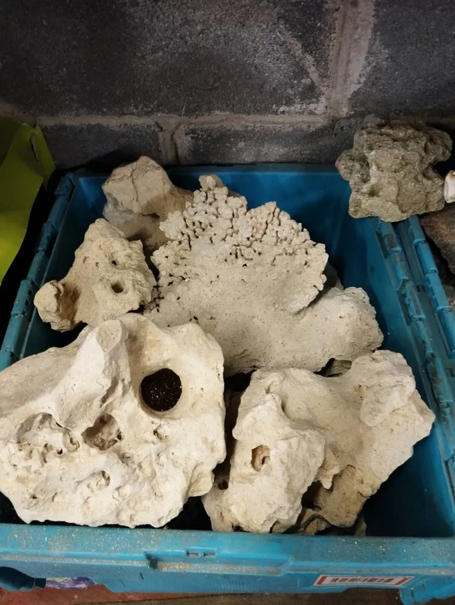 Aquarium Rocks - Image 1