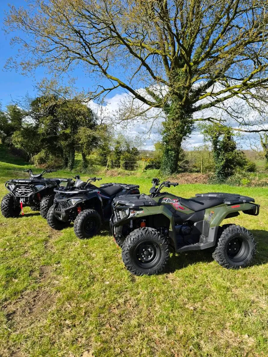 NEW Loncin X-Wolf quads - Image 2