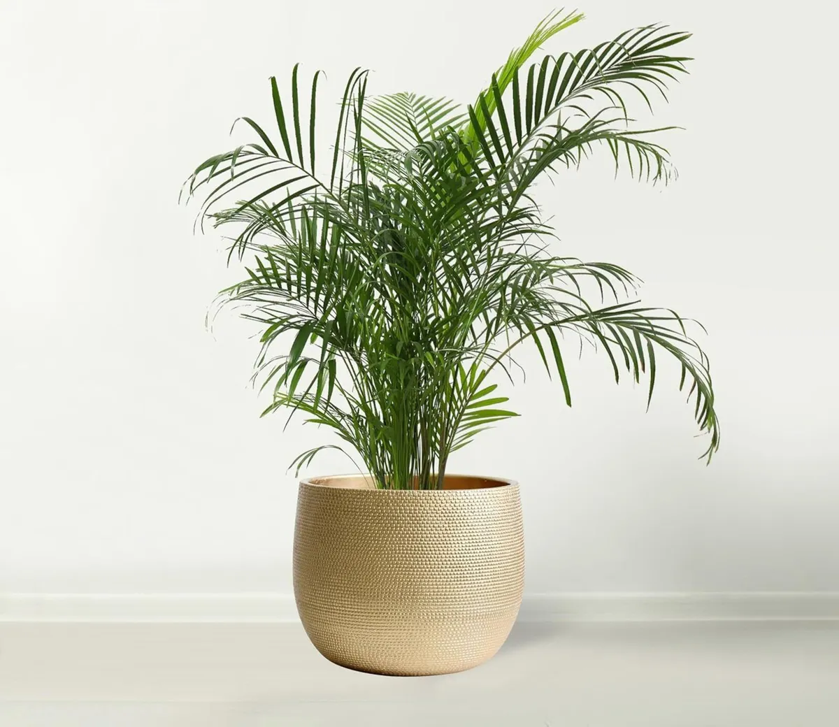 Barcelona Ceramic Plant Pot - Flower Pots Indoor - Image 2