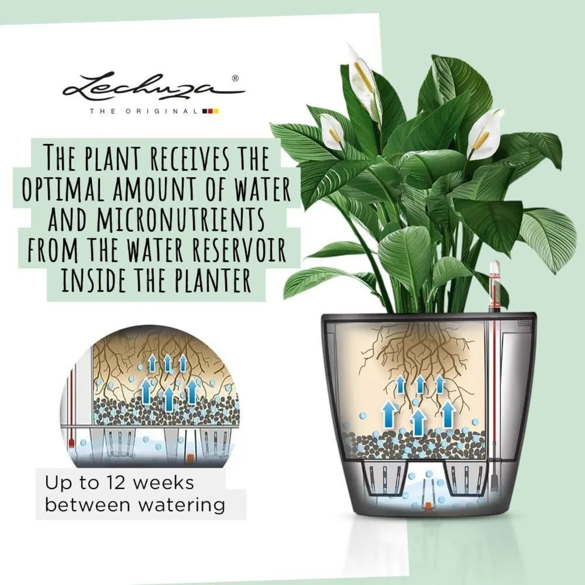 Self Watering Plant Pot CLASSICO 35 LS Garden - Image 4