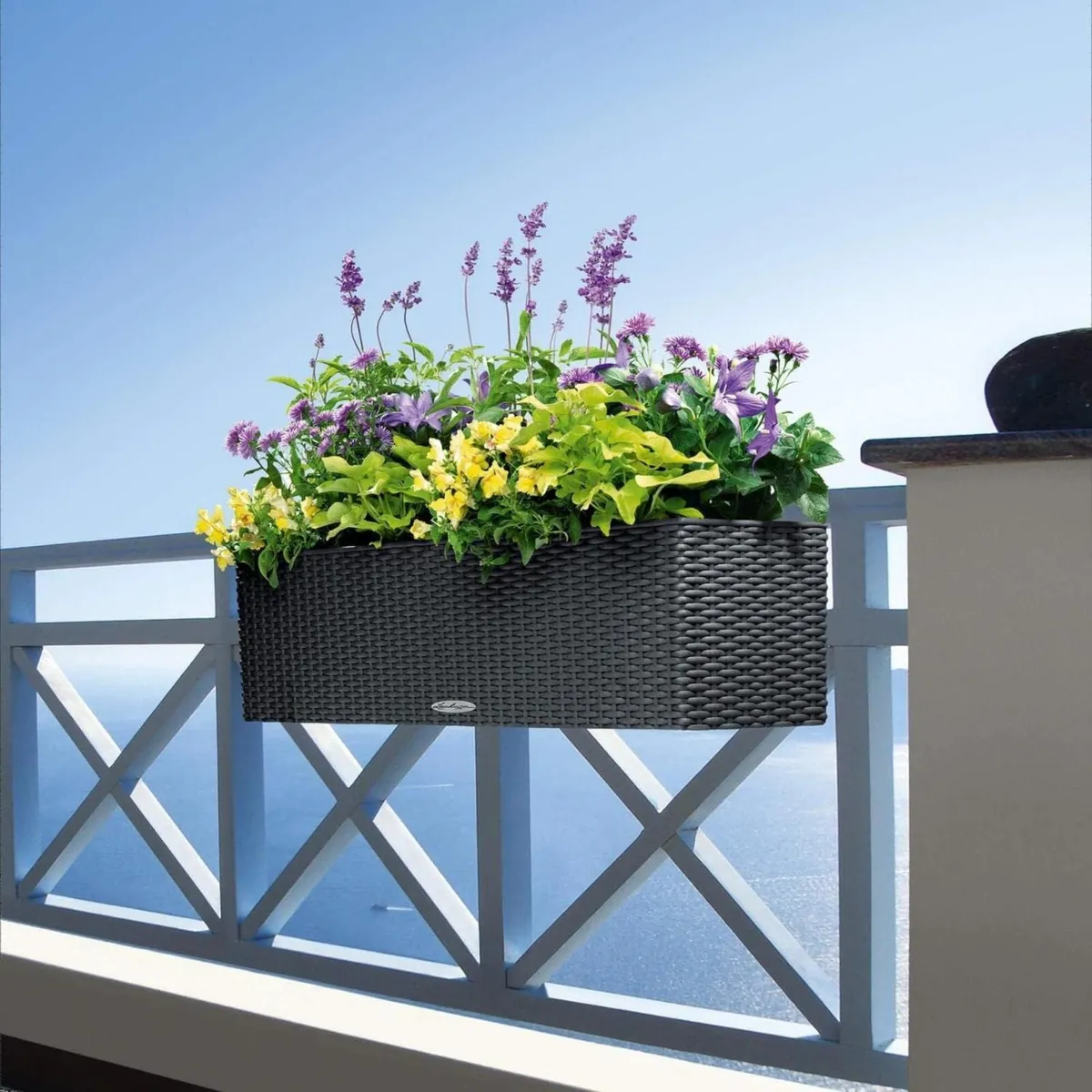 Self Watering Pot BALCONERA Cottage 80 Graphite - Image 2