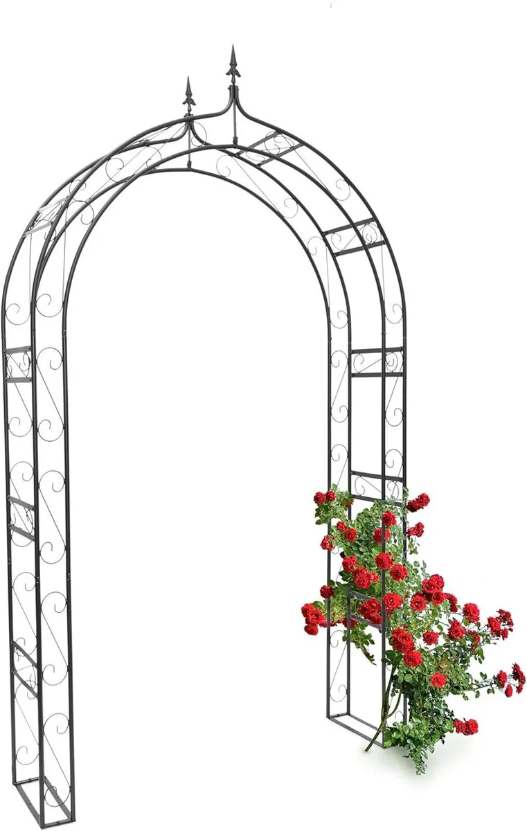 Rose Arch Climbing Plant Support Frame with - Image 1