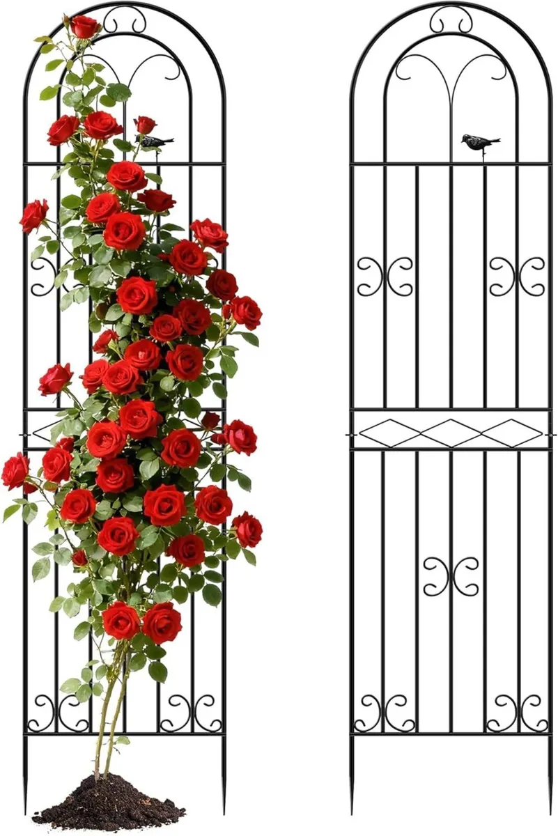200cm Metal Garden Trellis for Climbing Plants - Image 1