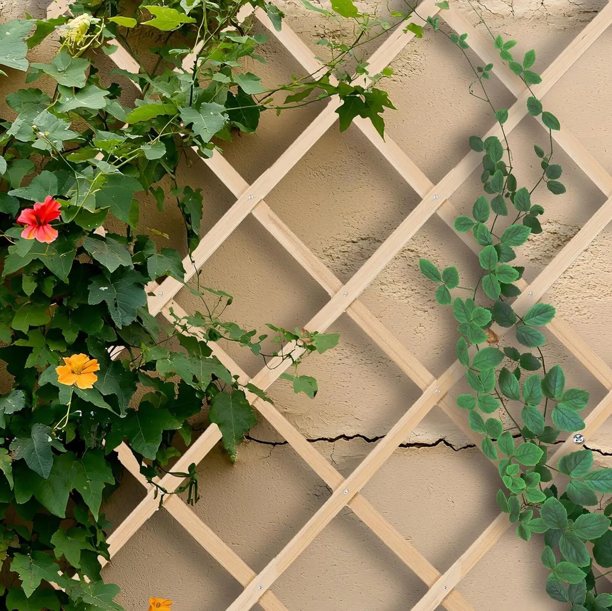 Extendable Trellis Set of 3 180 x 90 cm Wood - Image 4