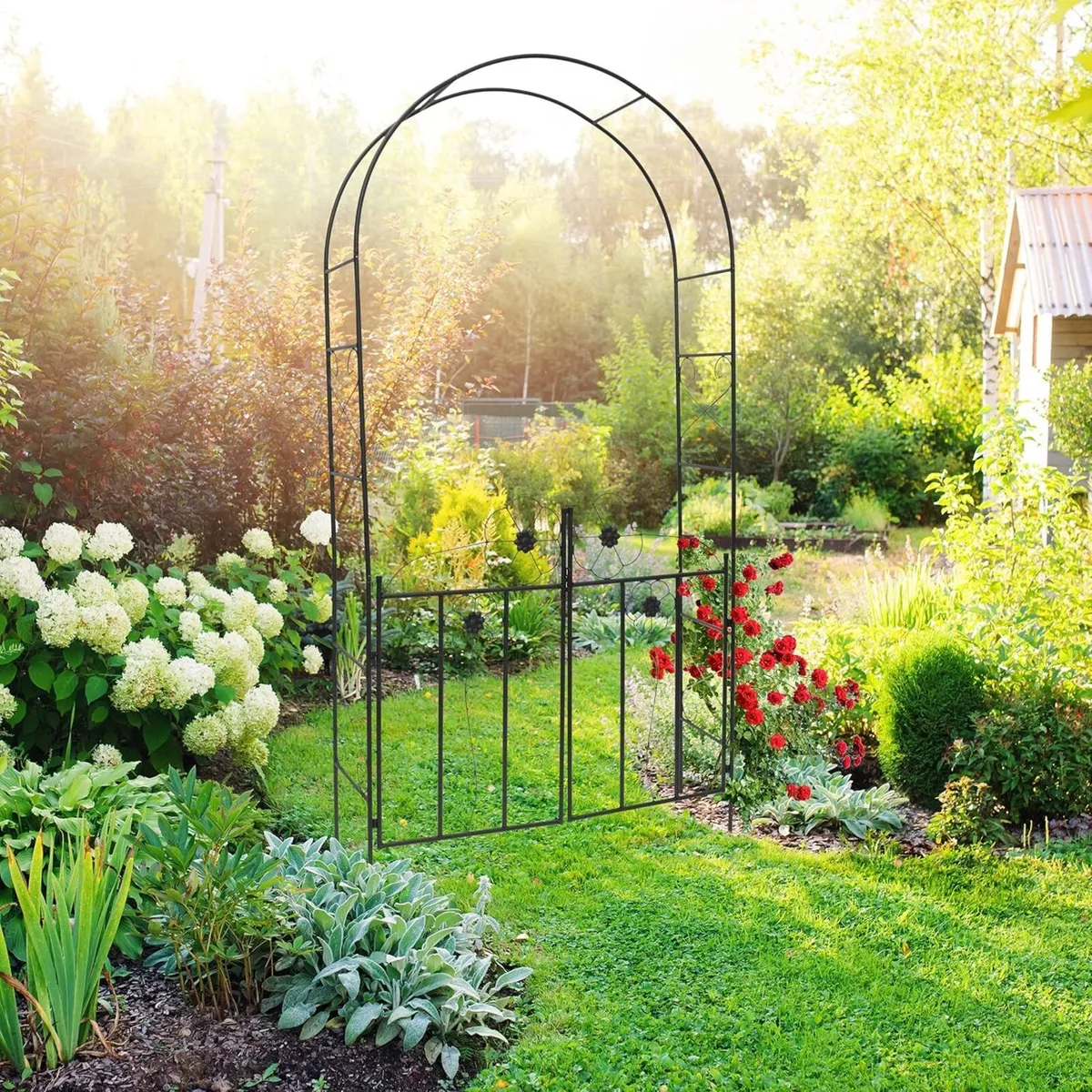 Rose Arch 228 x 116 36.5 cm Gate made of Powder-Co for sale in Dublin ...