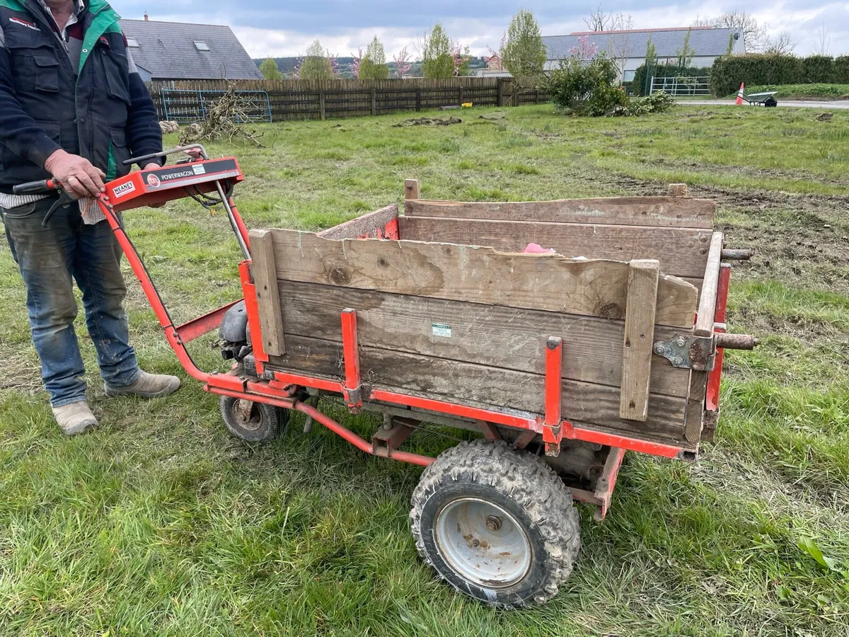 Petrol wheelbarrow / small dumper - Image 2
