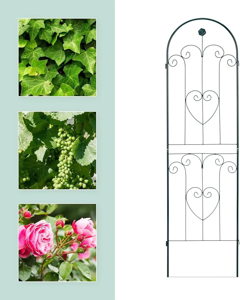 Trellis Set of 2 Metal 180 x 50 cm Garden - Image 4