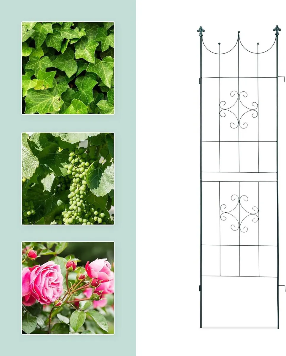 Trellis Set of 2 Metal 180 x 50 cm Garden - Image 4