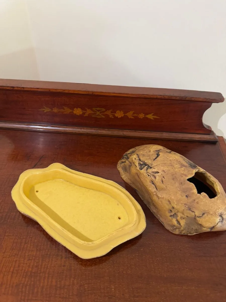 Snake Terrarium Enclosure - Image 3