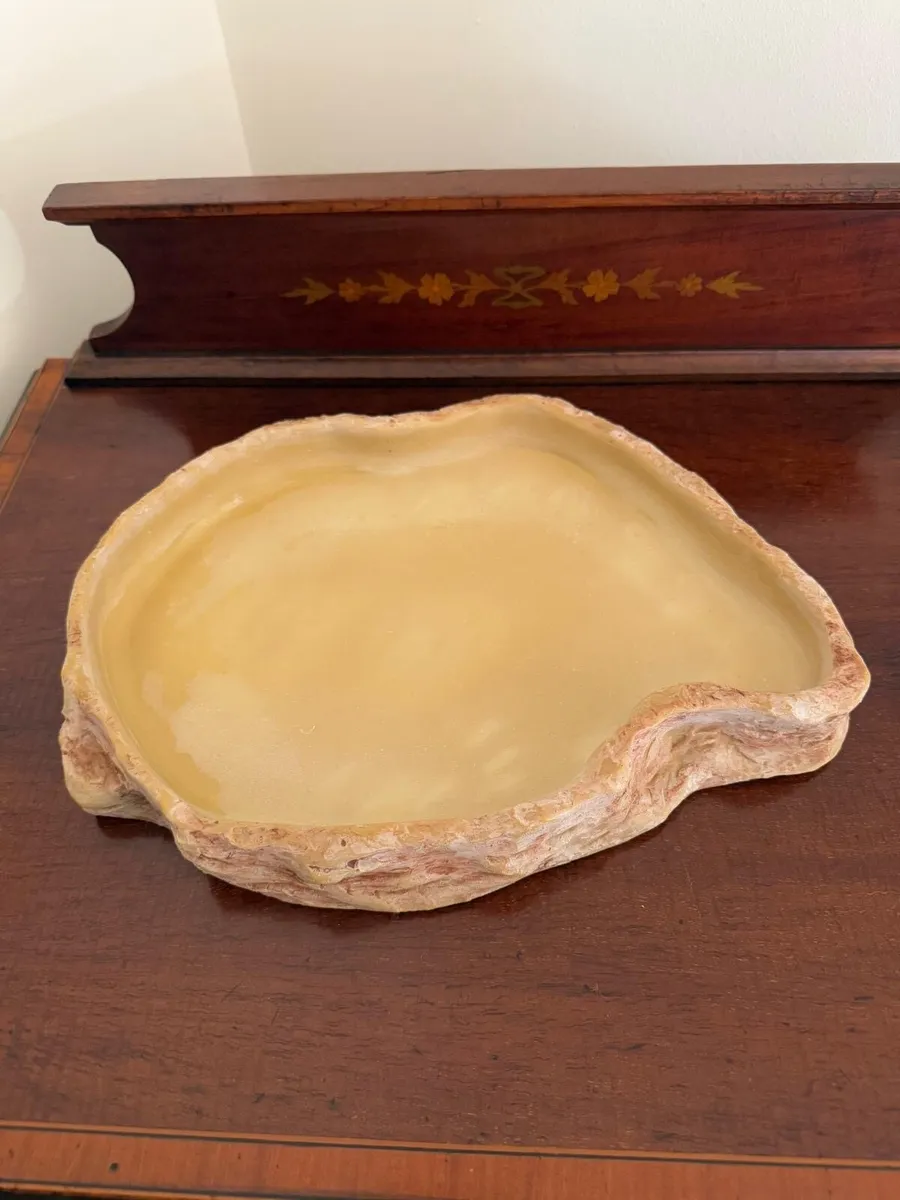 Snake Terrarium Enclosure - Image 4