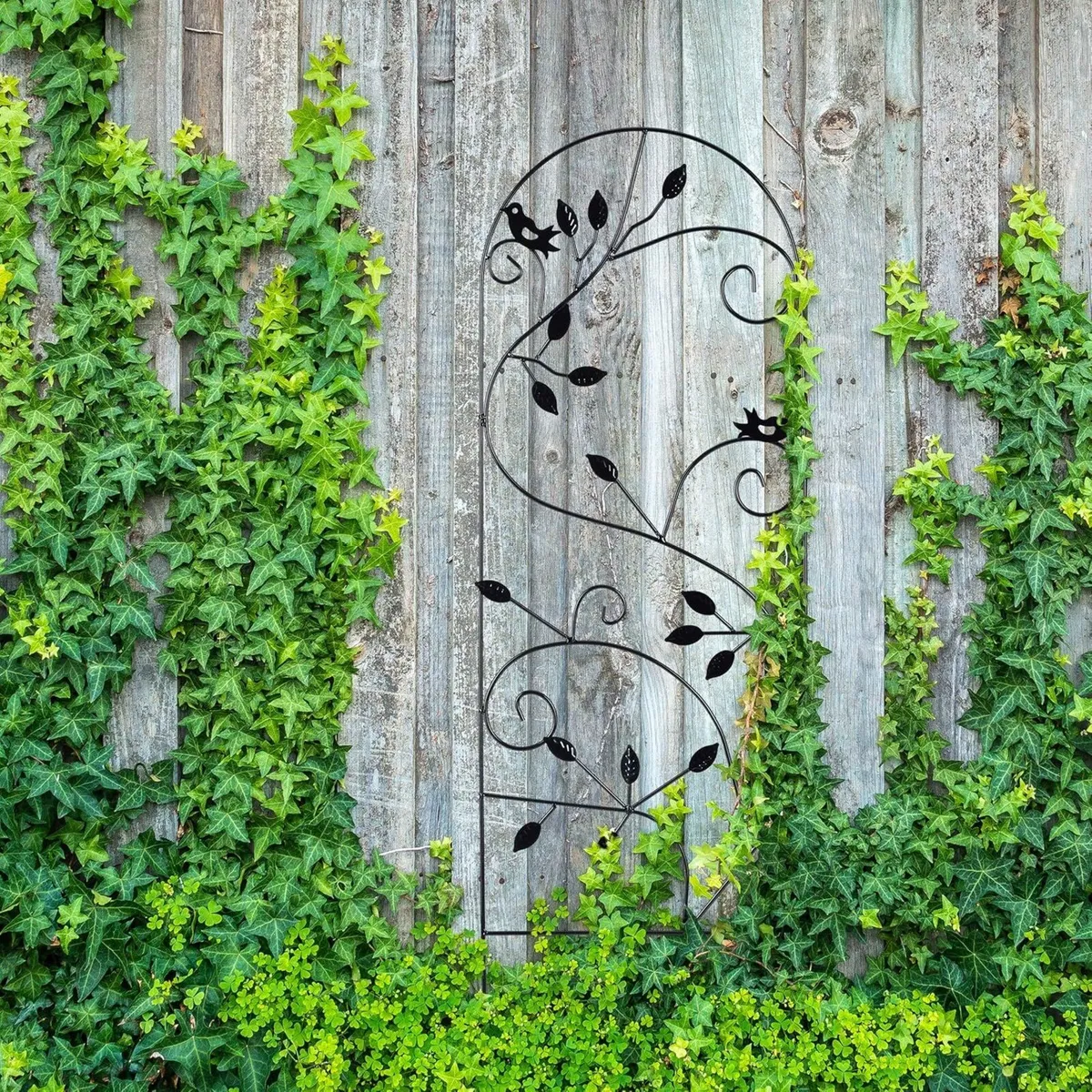 Bird Trellis Metal Garden Lattice Climbing Aid - Image 4