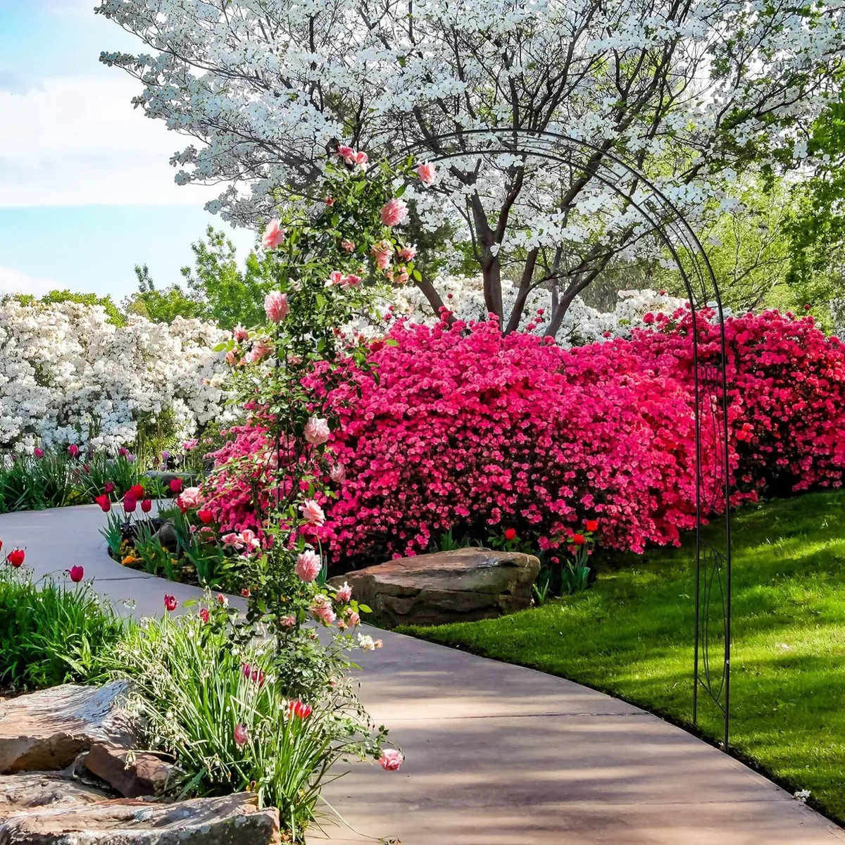 Metal Rose Arch Garden Arbour HxWxD: 233 x 172 35 - Image 2