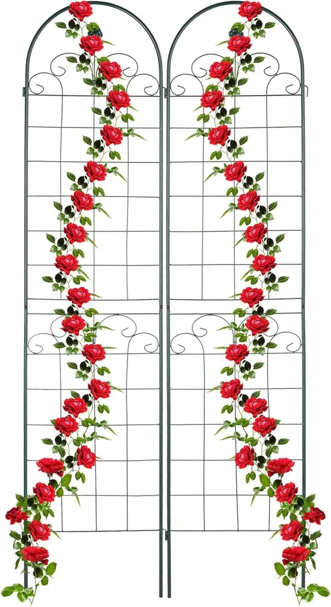 Garden Trellis Set of 2 HxW 220 x 50 cm Metal - Image 1