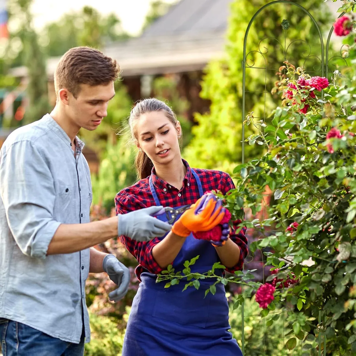 Garden Trellis Set of 2 HxW 220 x 50 cm Metal - Image 4