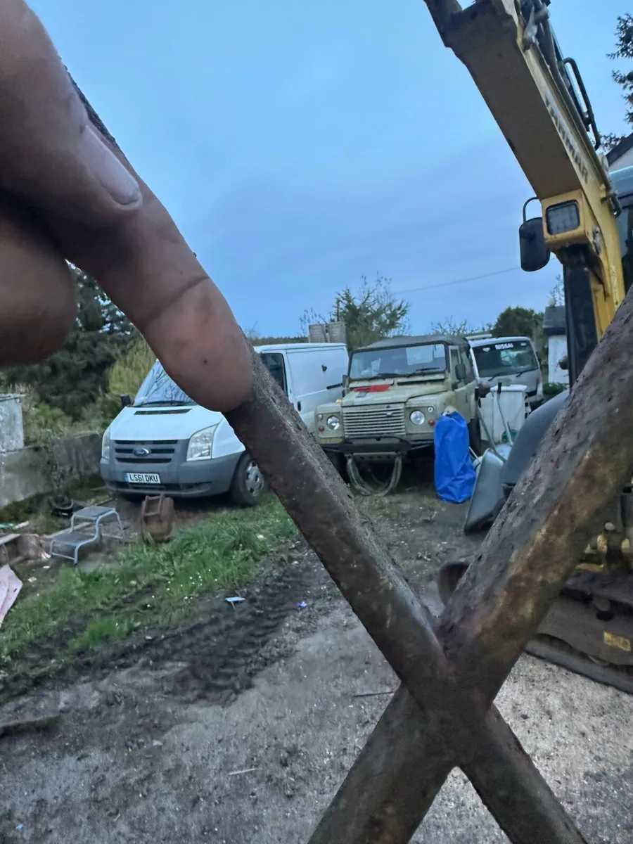 Antique gates - Image 3