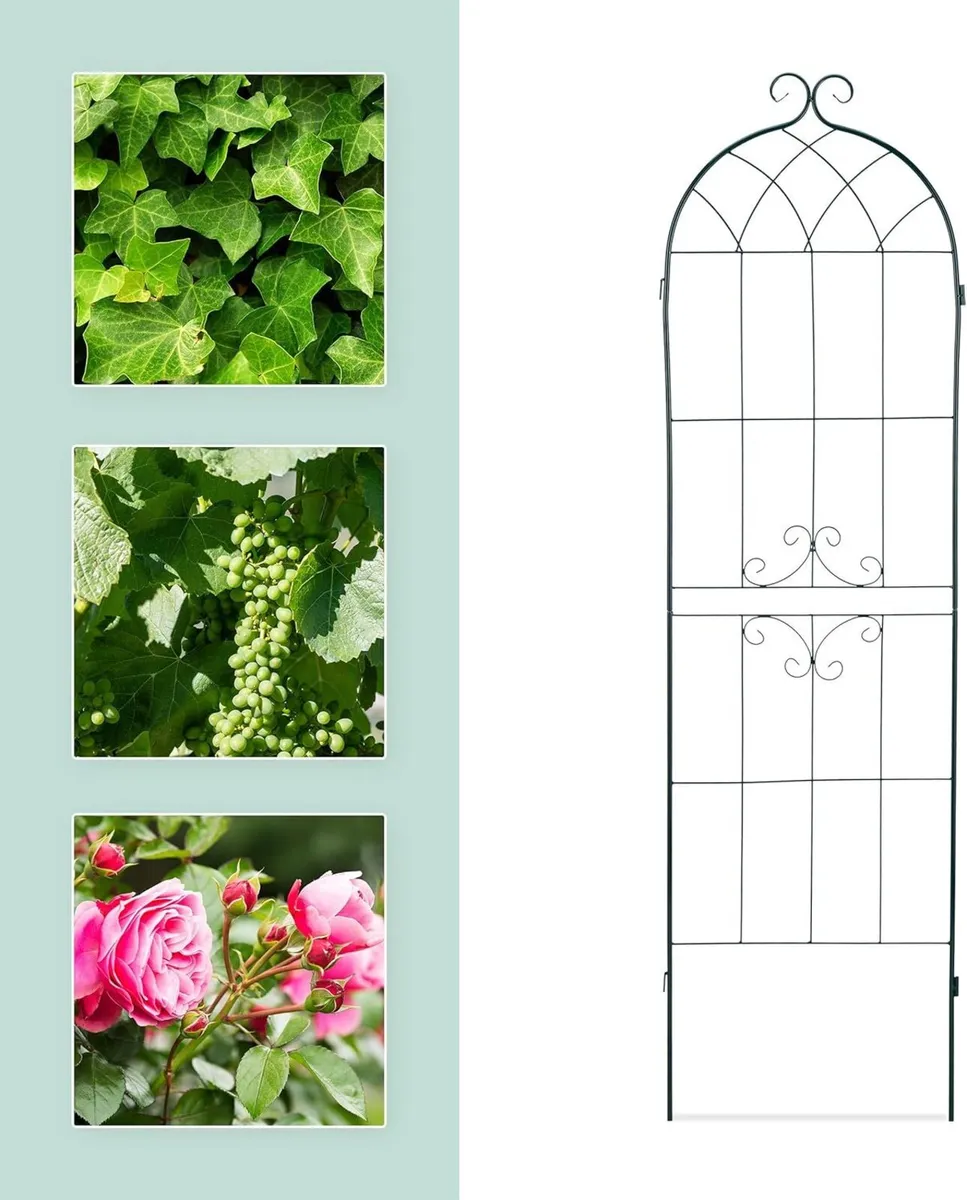 Trellis Set of 2 Metal 180 x 50 cm Garden - Image 4