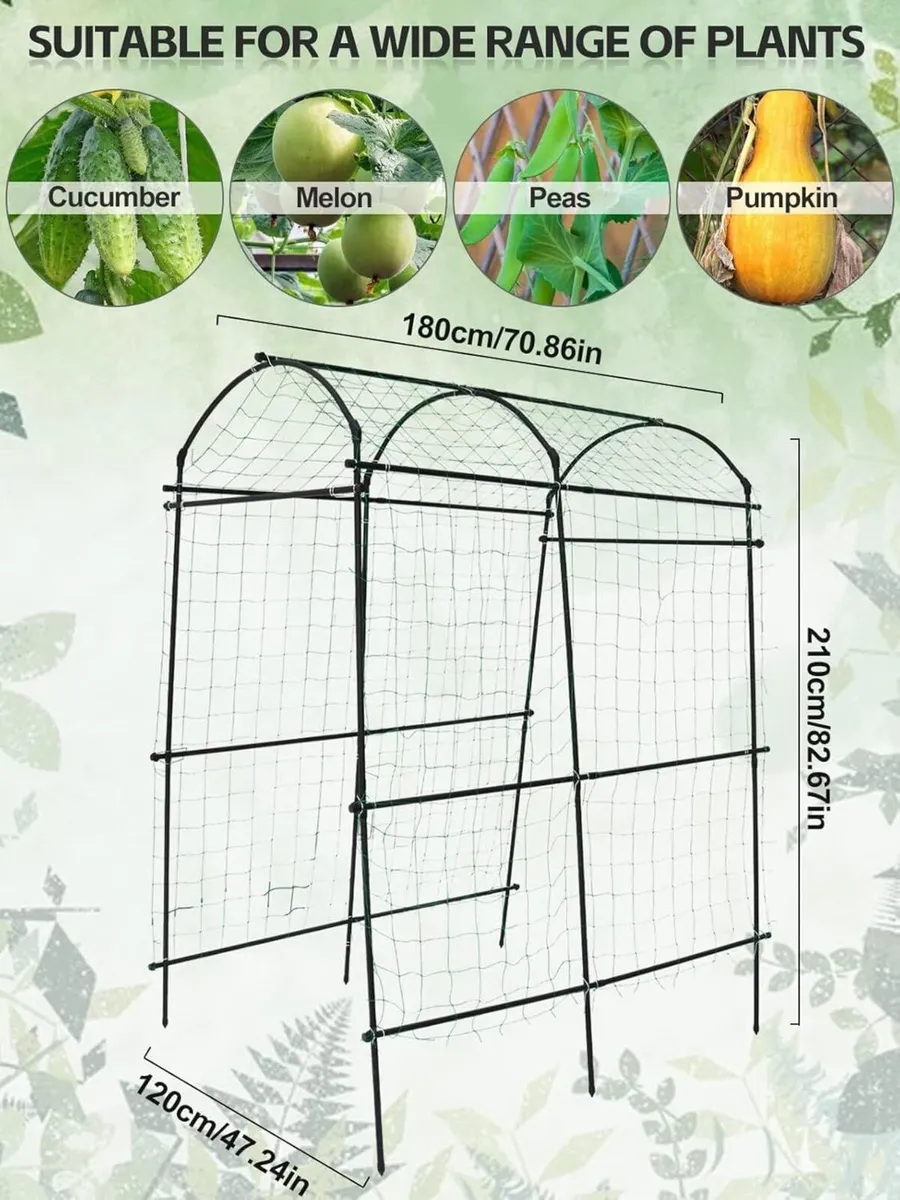 7 Feet Garden Arch Trellis for Climbing Plants - Image 3
