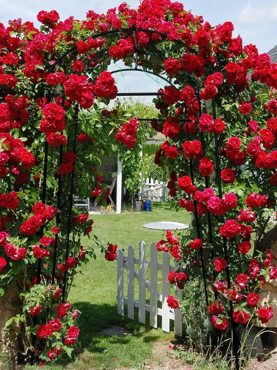 7 Feet Garden Arch Trellis for Climbing Plants - Image 2