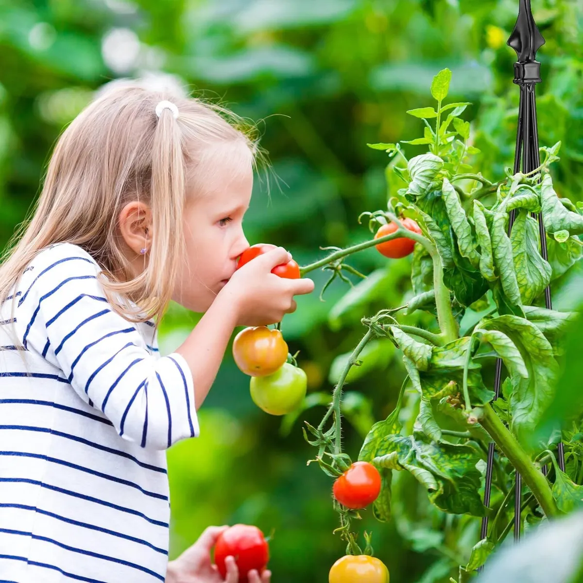 Garden Obelisks Set of 2 120 x 16 cm Pyramid - Image 4