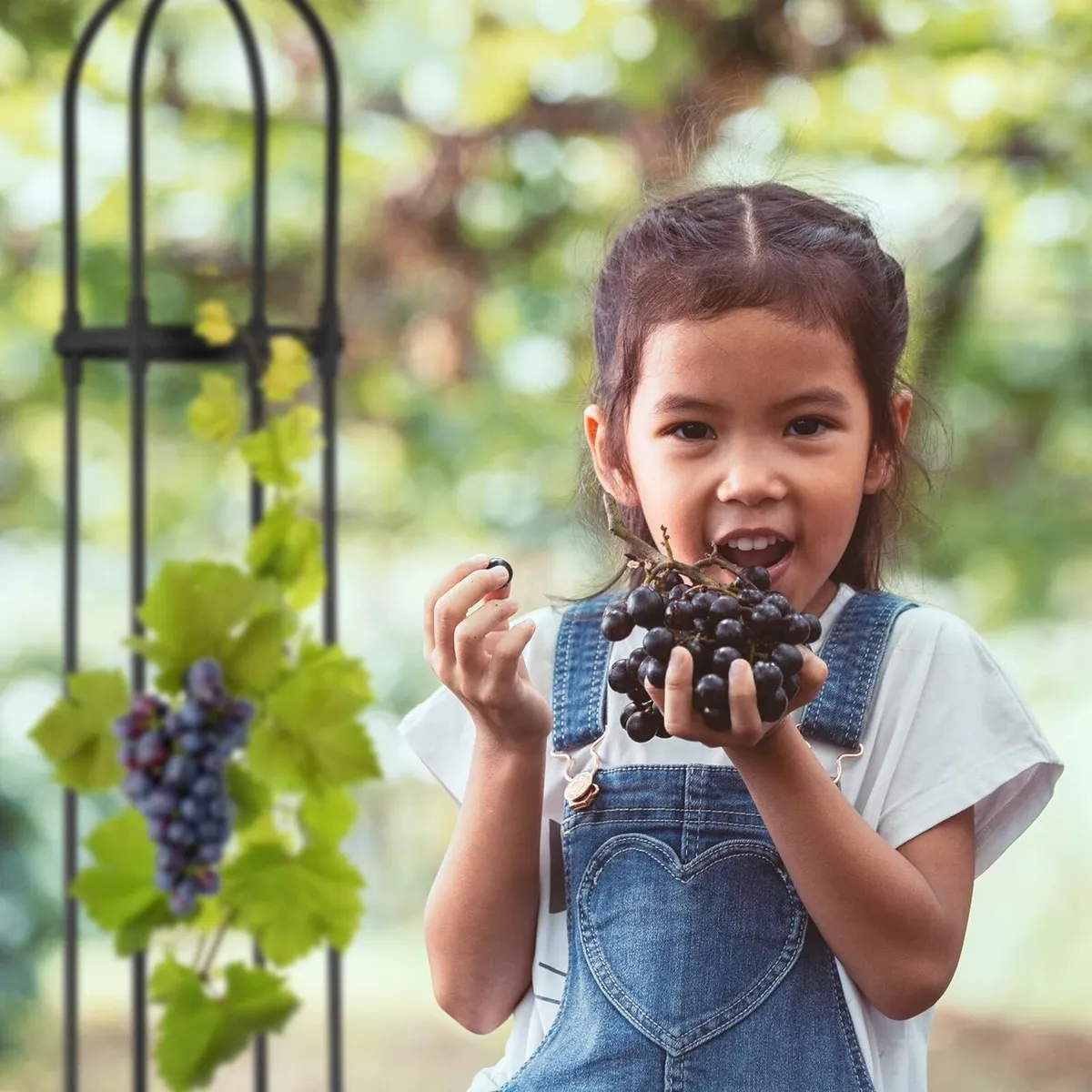 Garden Obelisk Set of 2 H x D: 188 24 cm Climbing - Image 4