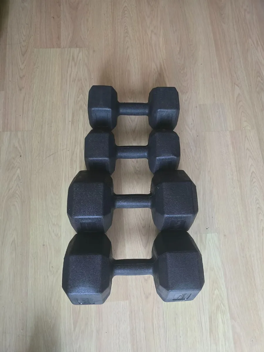 Dumbbells 2×10kg , 2×5kg