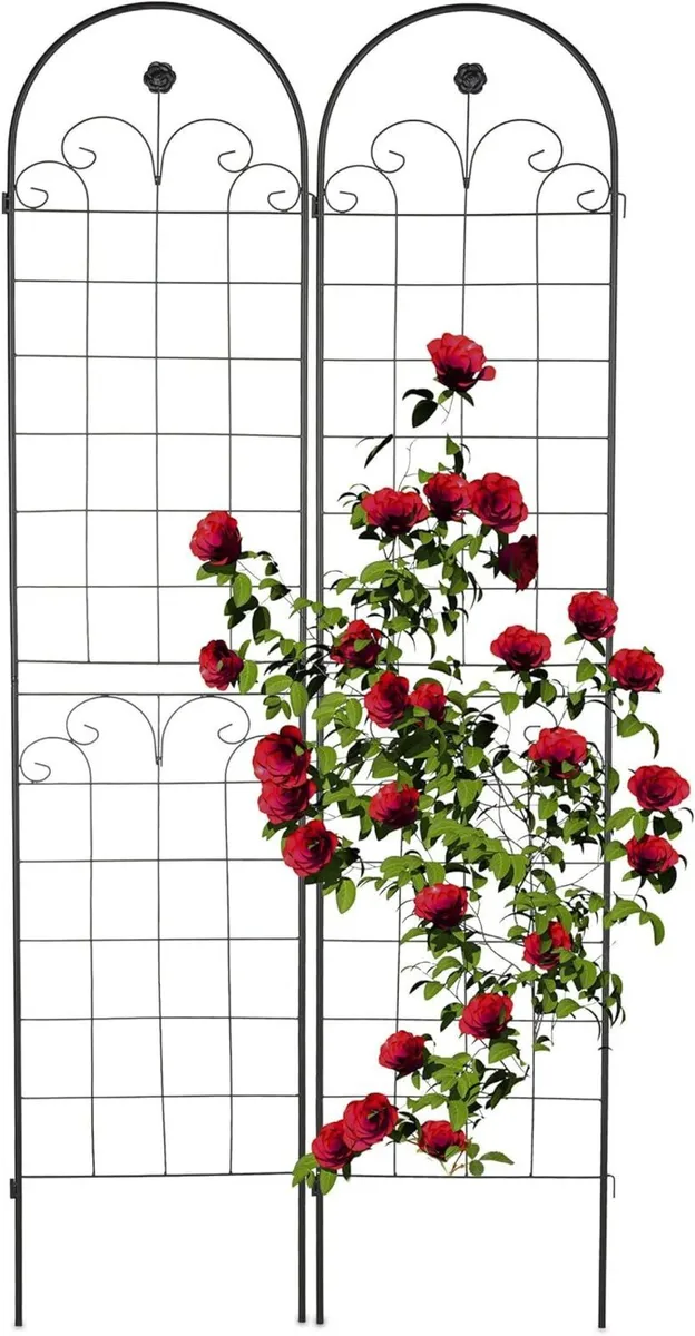 Garden Trellis Set of 2 HxW 220 x 50 cm Metal - Image 1