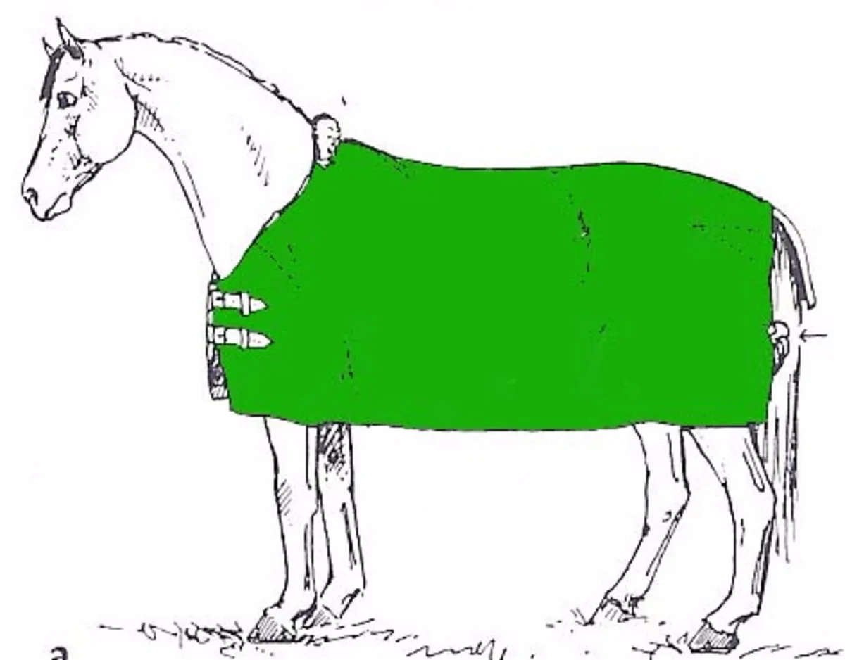 Calf rug washing and repair services