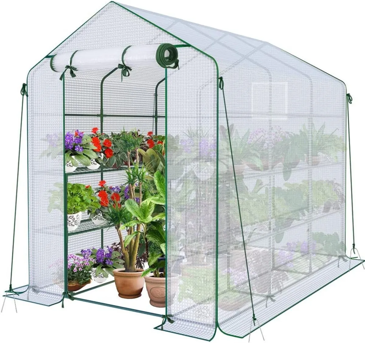 Walk In Greenhouse with Shelves Roll up Zip Panel - Image 1