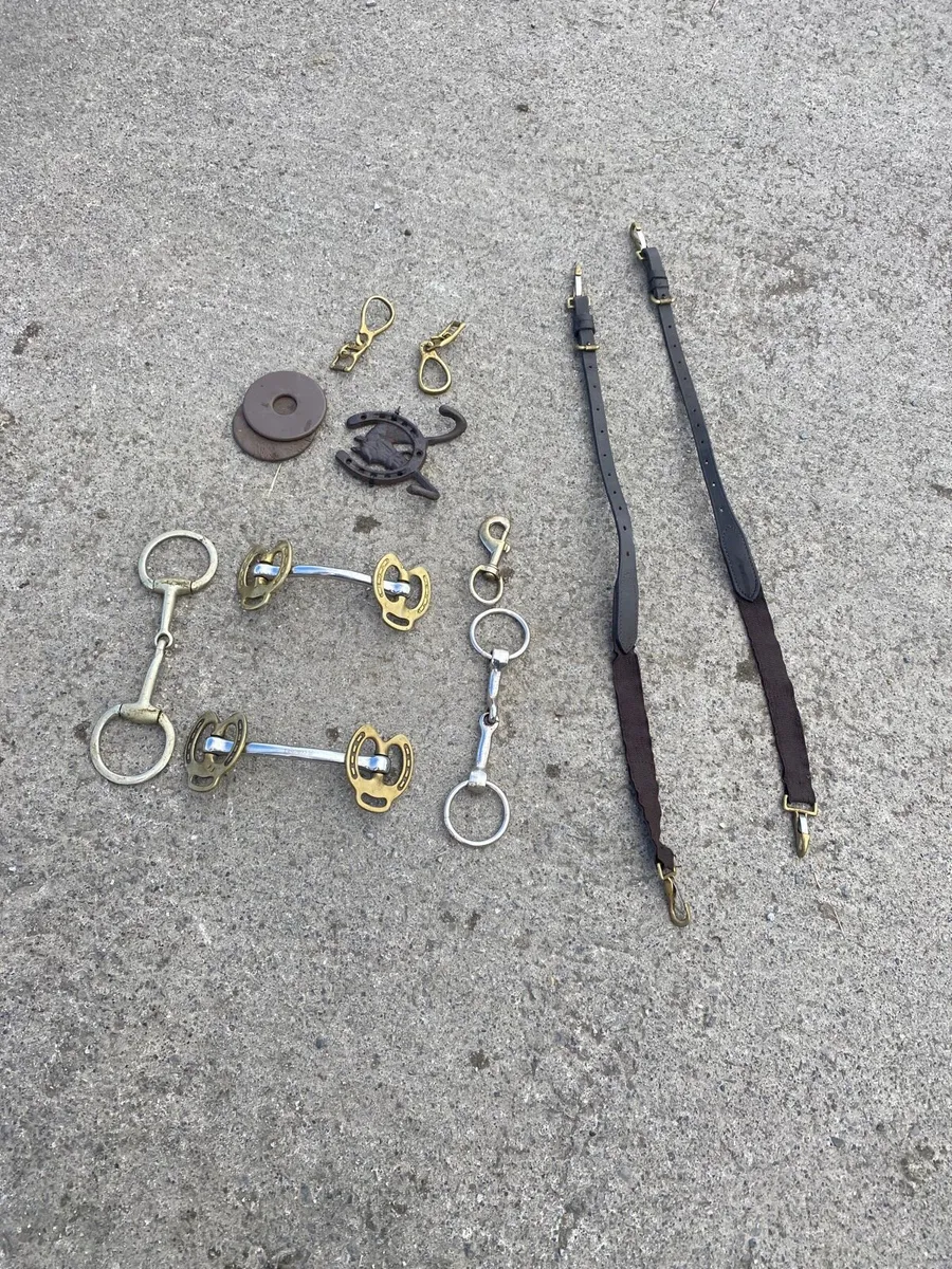 Horse and pony equipment - Image 1