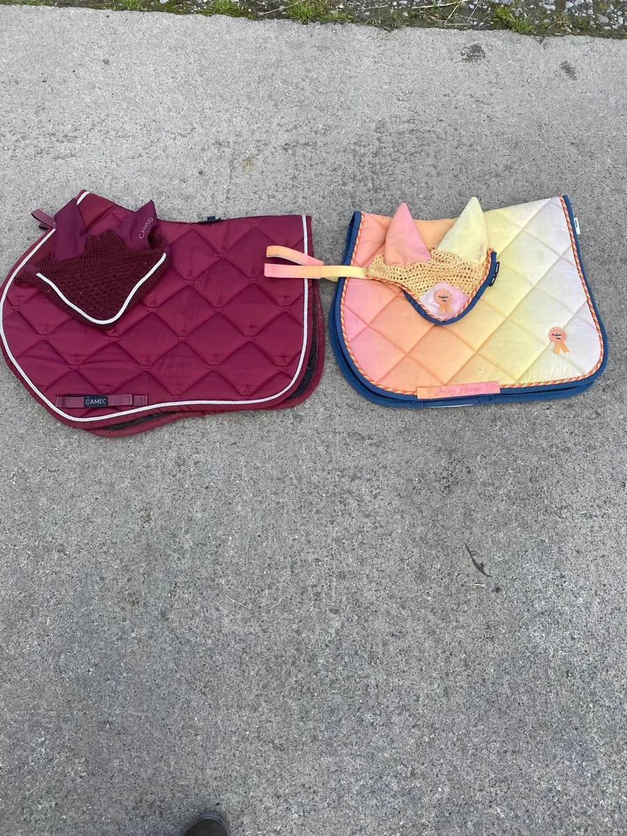 Horse and pony equipment - Image 3