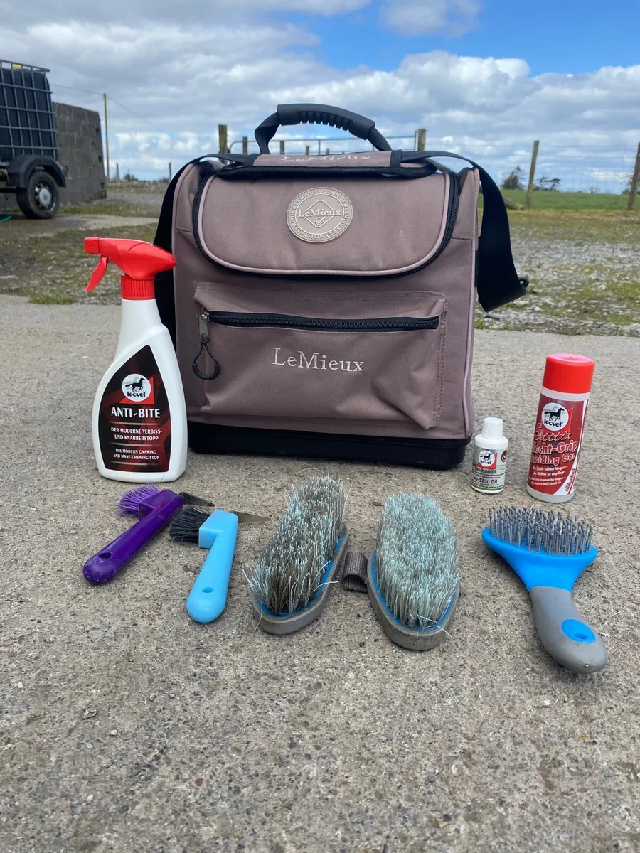 Horse and pony equipment - Image 4