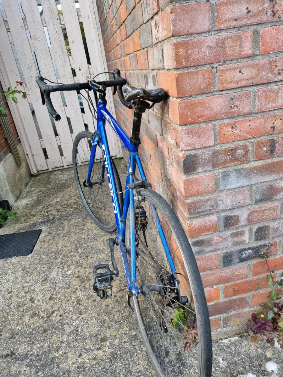 Carrera Zelos - Image 3