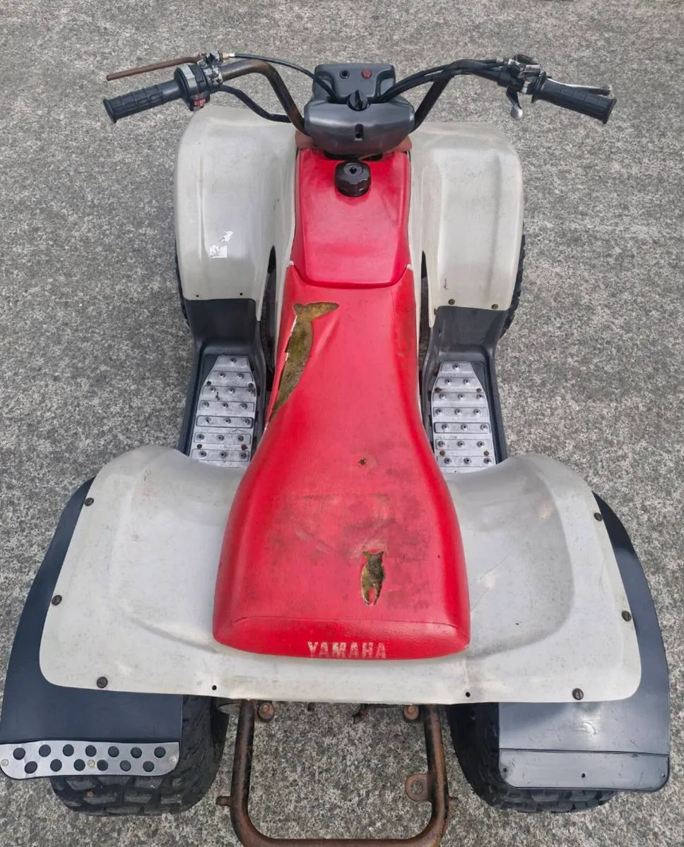 Swap for Lawnmower - Image 1