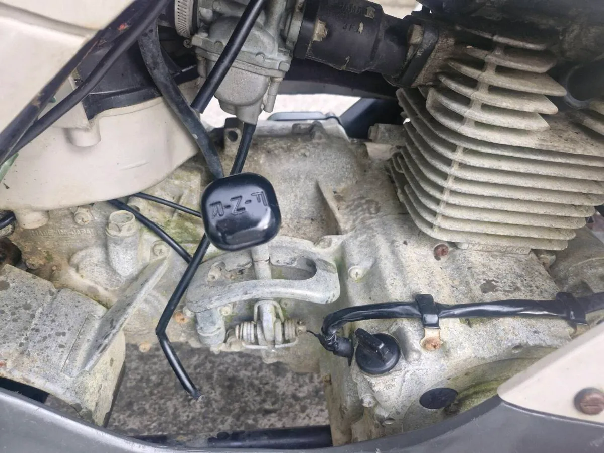 Swap for Lawnmower - Image 3