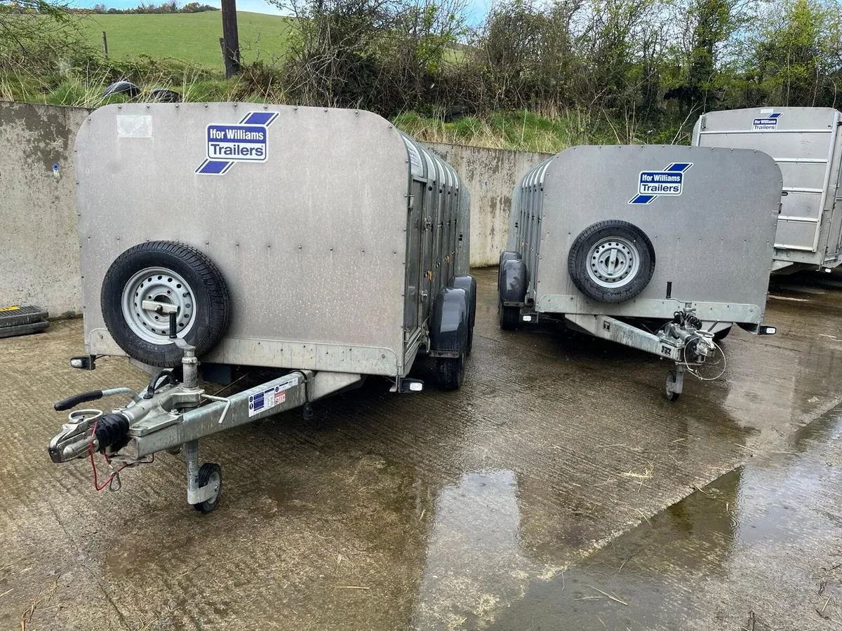 10X5 Low Headroom Ifor Williams Trailer - Image 3