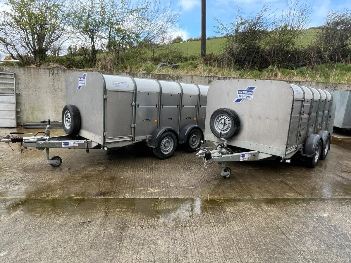 10X5 Low Headroom Ifor Williams Trailer - Image 4