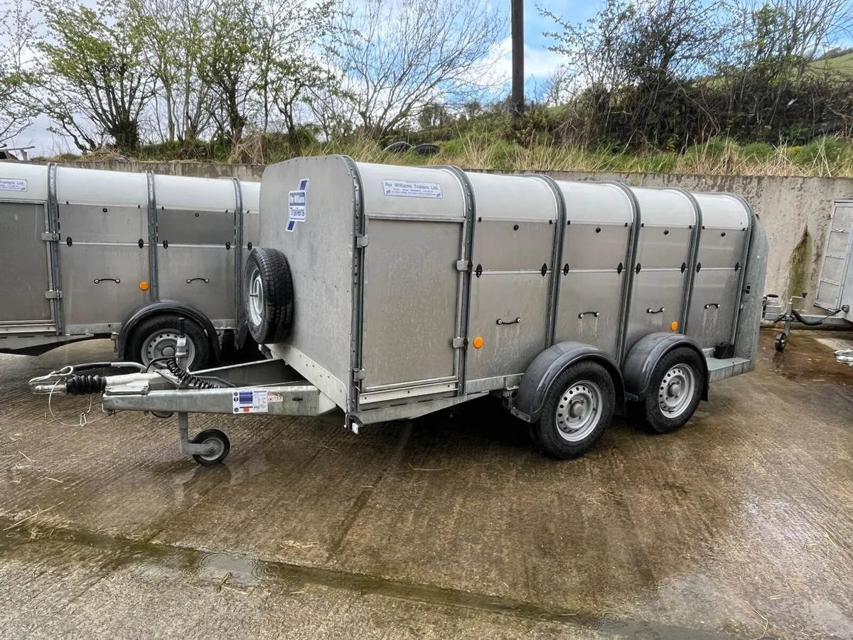 10X5 Low Headroom Ifor Williams Trailer - Image 2