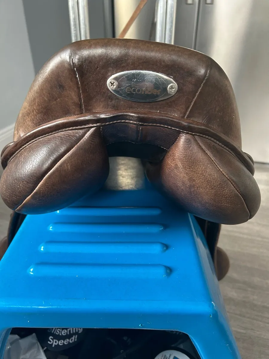 Eco rider saddle 17.5 - Image 2