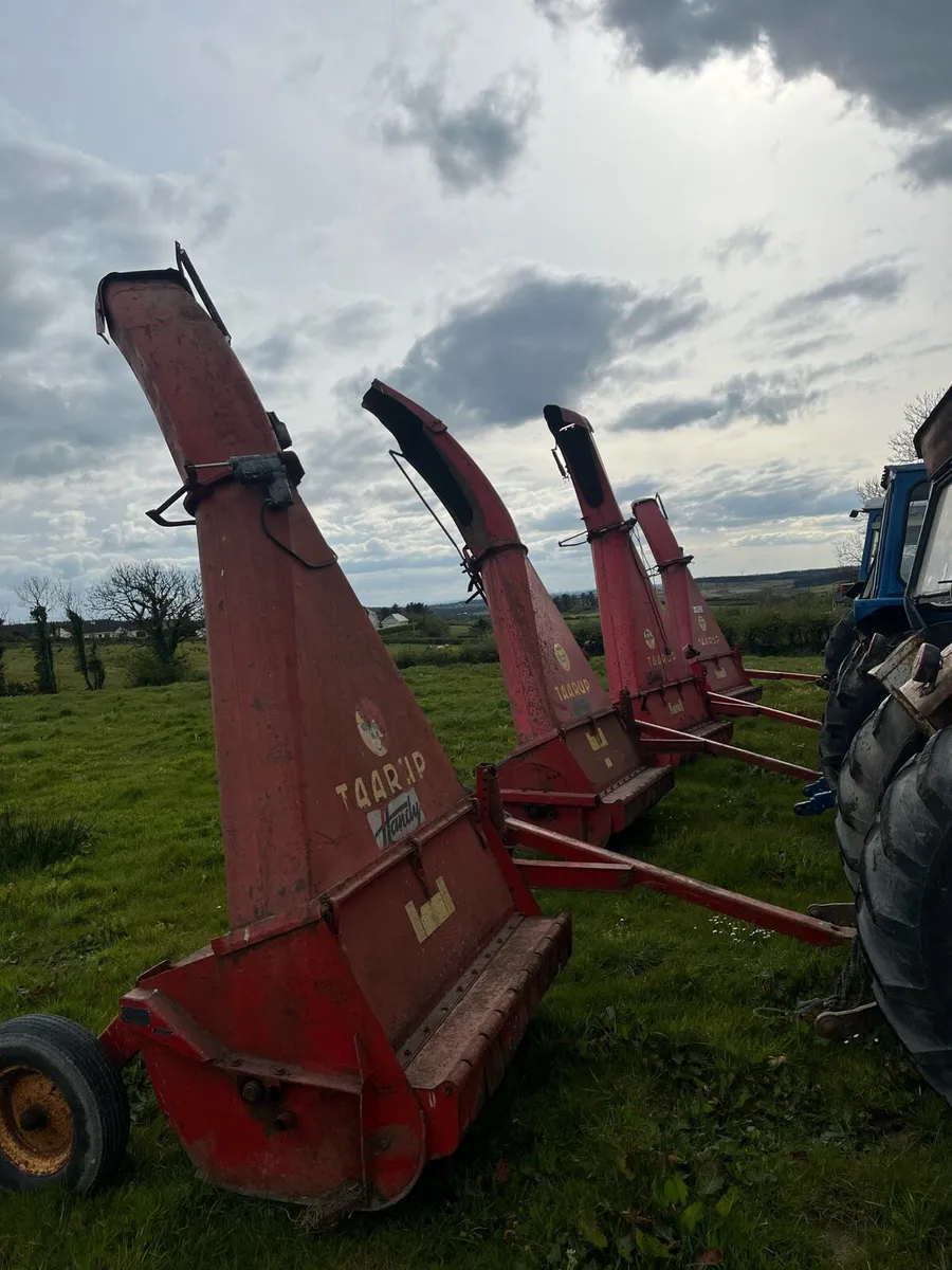 Taarup harvester - Image 1