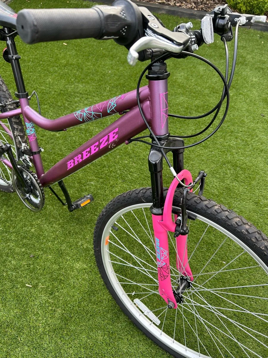 Girls Bicycle - Image 2