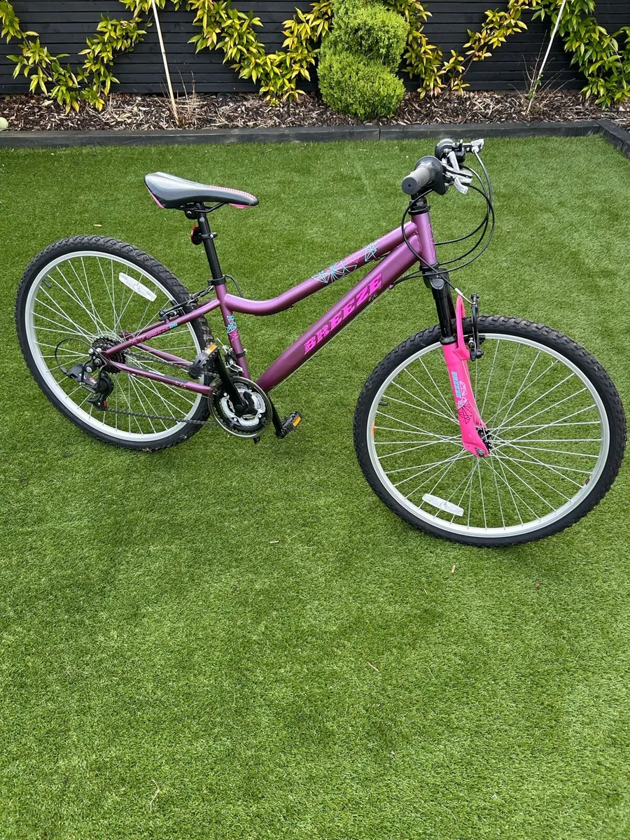 Girls Bicycle - Image 1
