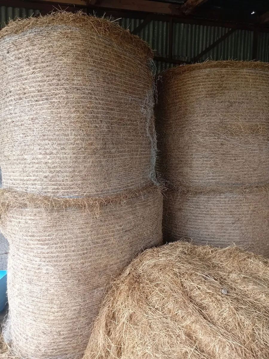 Hay