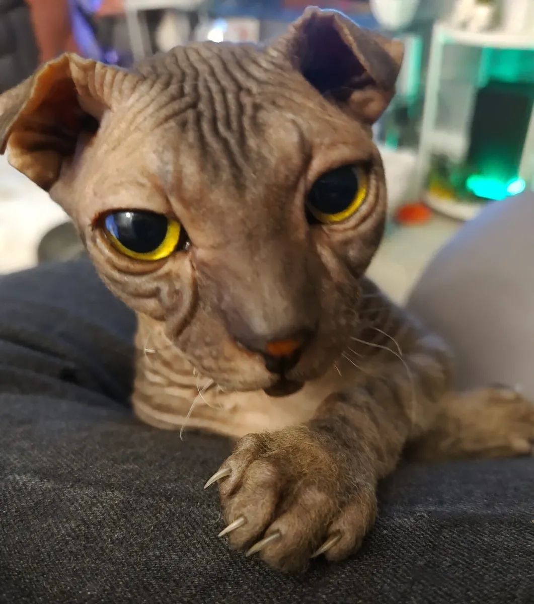 Ukrainian Levkoy - Image 1