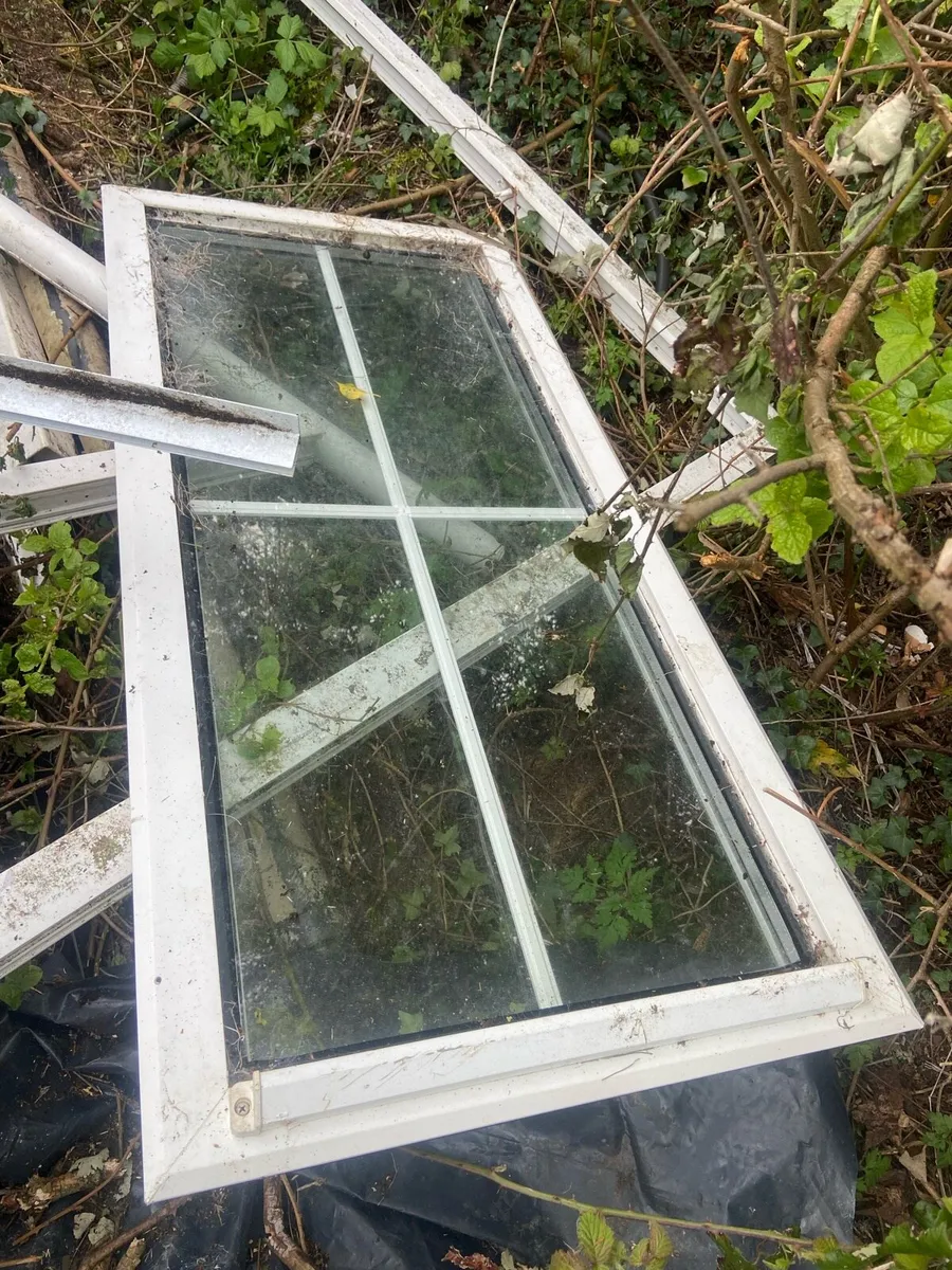 Windows for greenhouse - Image 1