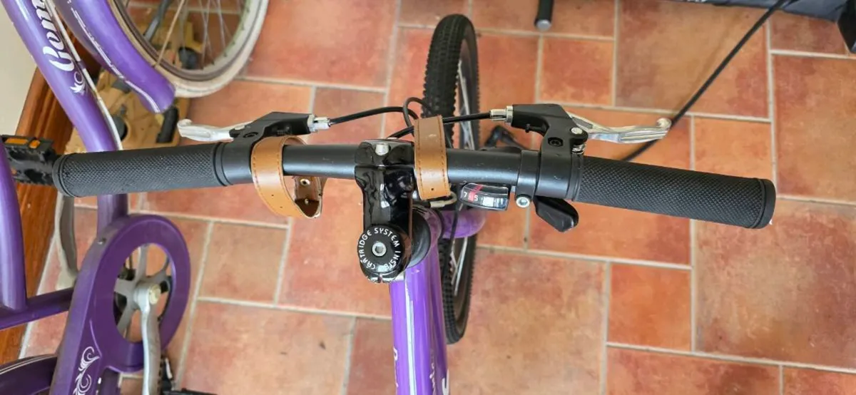 Dawes HT Paris Kids Cycle - Image 3