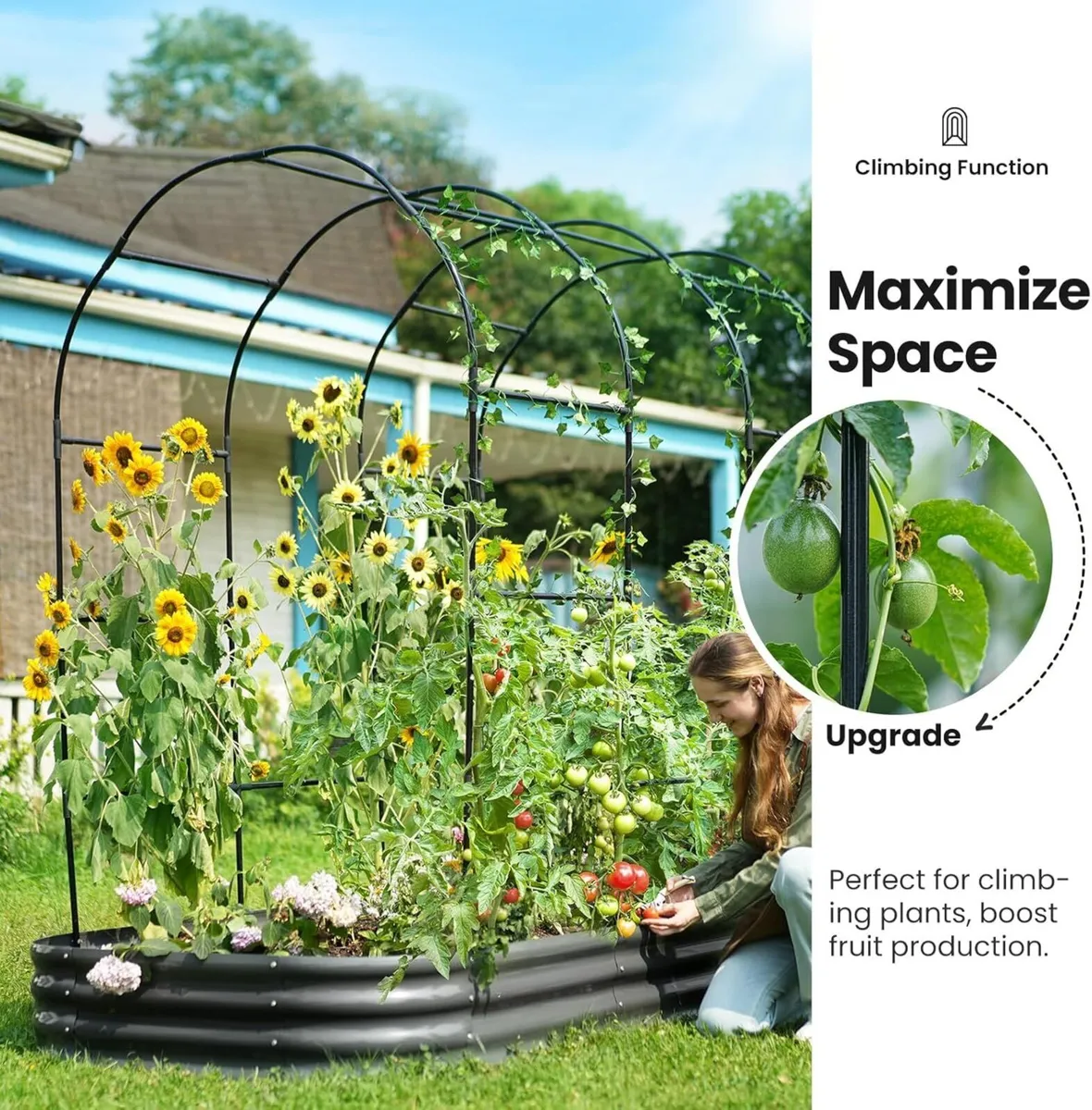 Galvanized Metal Raised Garden Bed with Trellis - Image 3